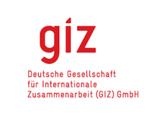 giz3